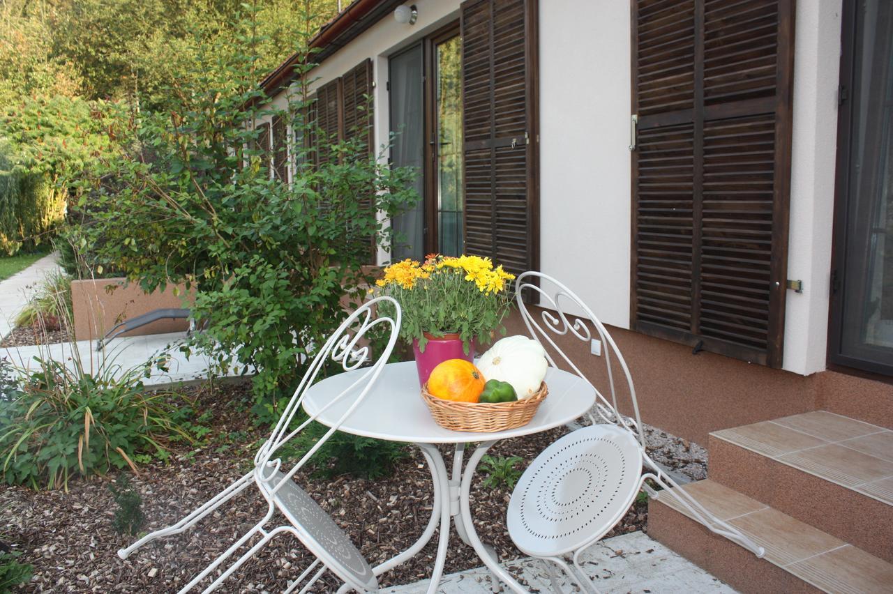 Barvicka Bed & Breakfast Tremosna Exterior photo