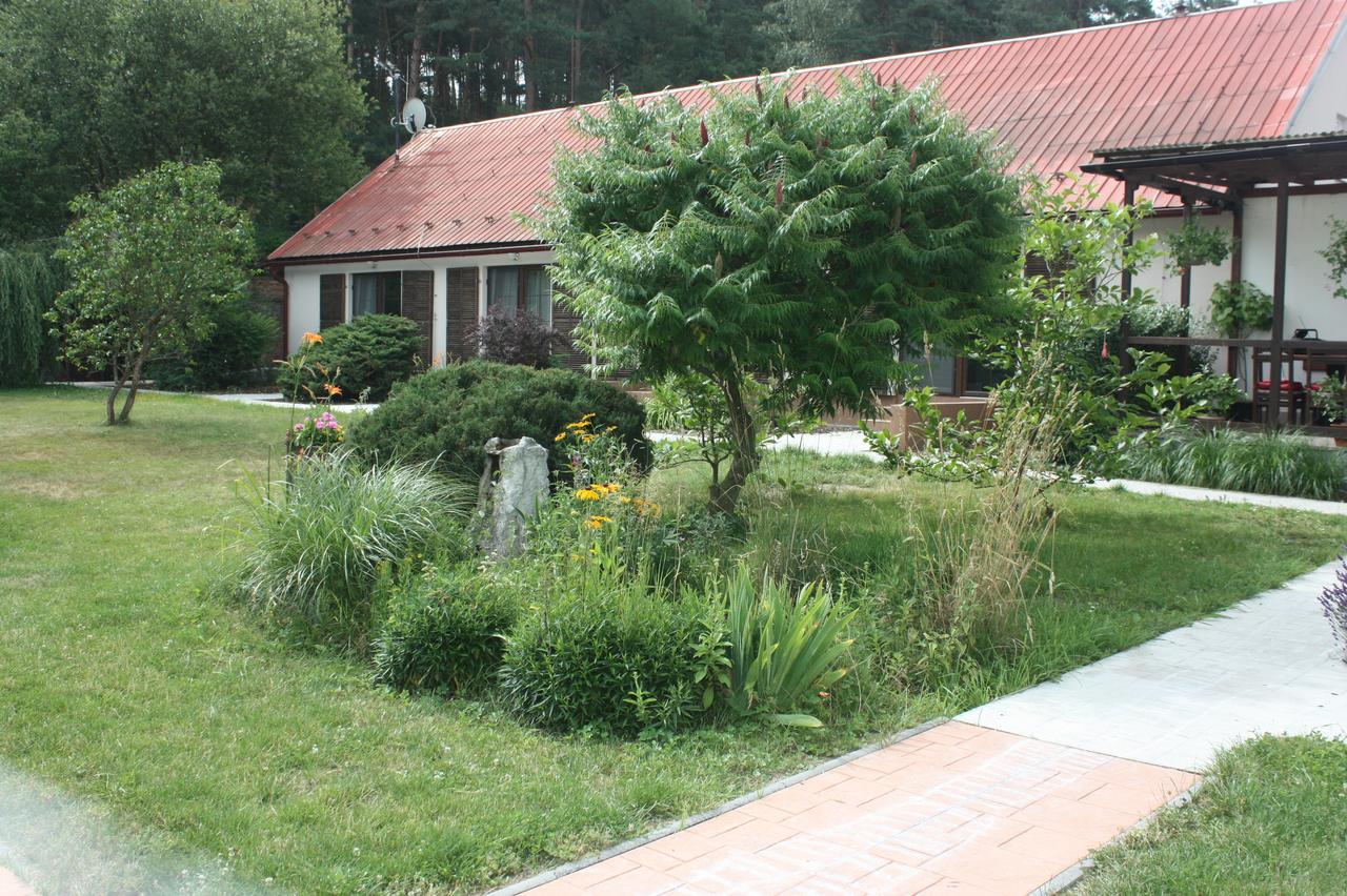 Barvicka Bed & Breakfast Tremosna Exterior photo